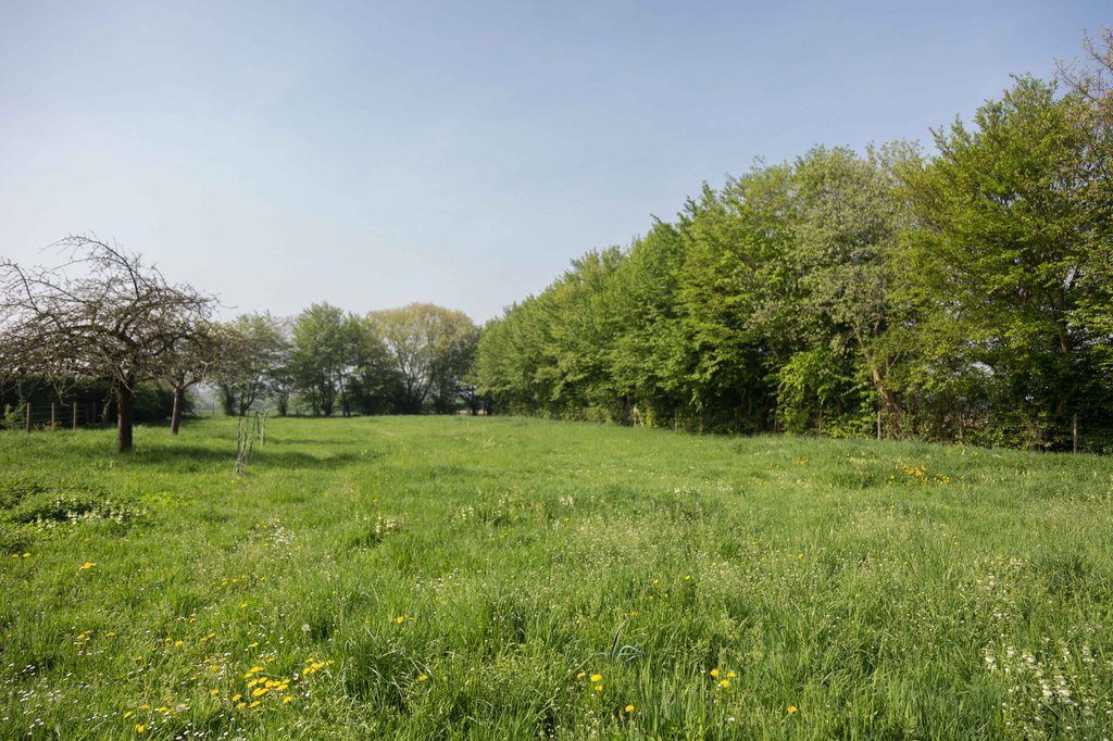 Maison à rénover avec prairie 3000 m2