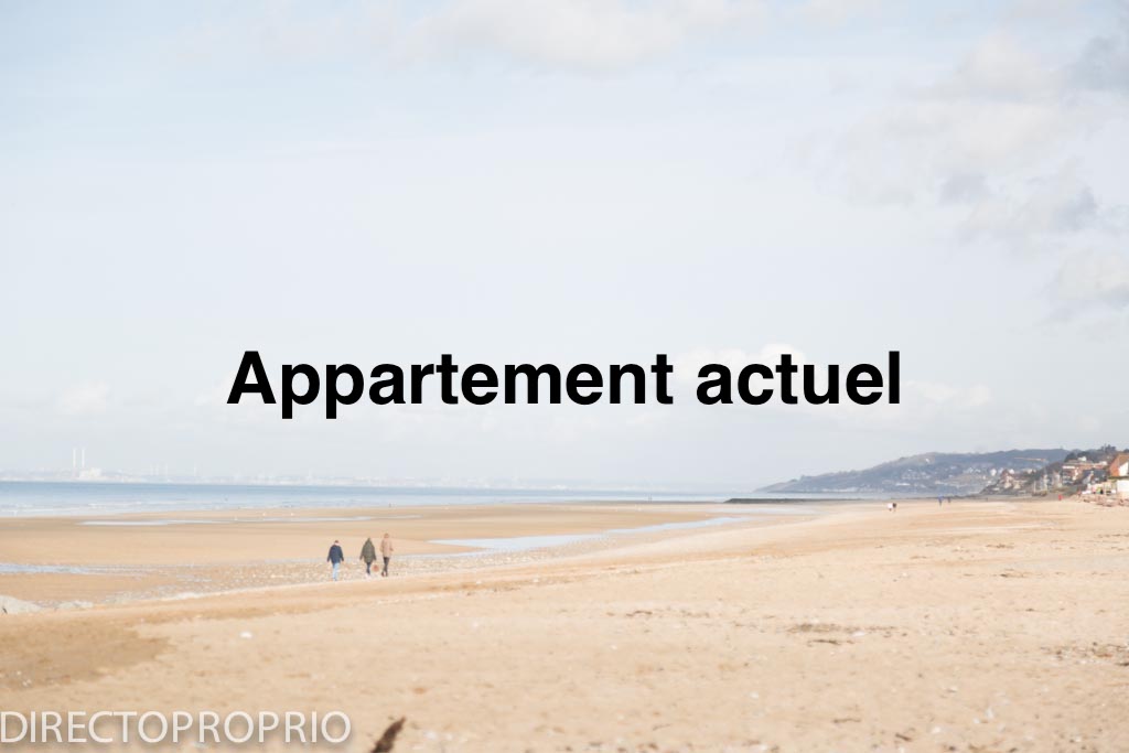 Appartement T2 32m2-cave-local à vélo- balcon plein sud