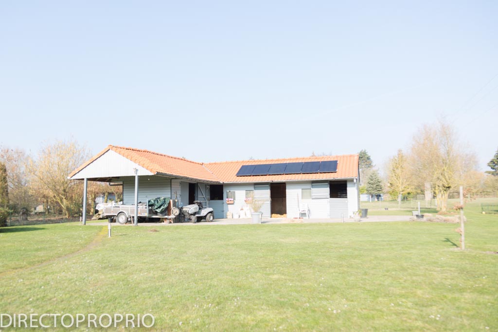 Maison Individuelle de standing avec boxes pour chevaux et prairie